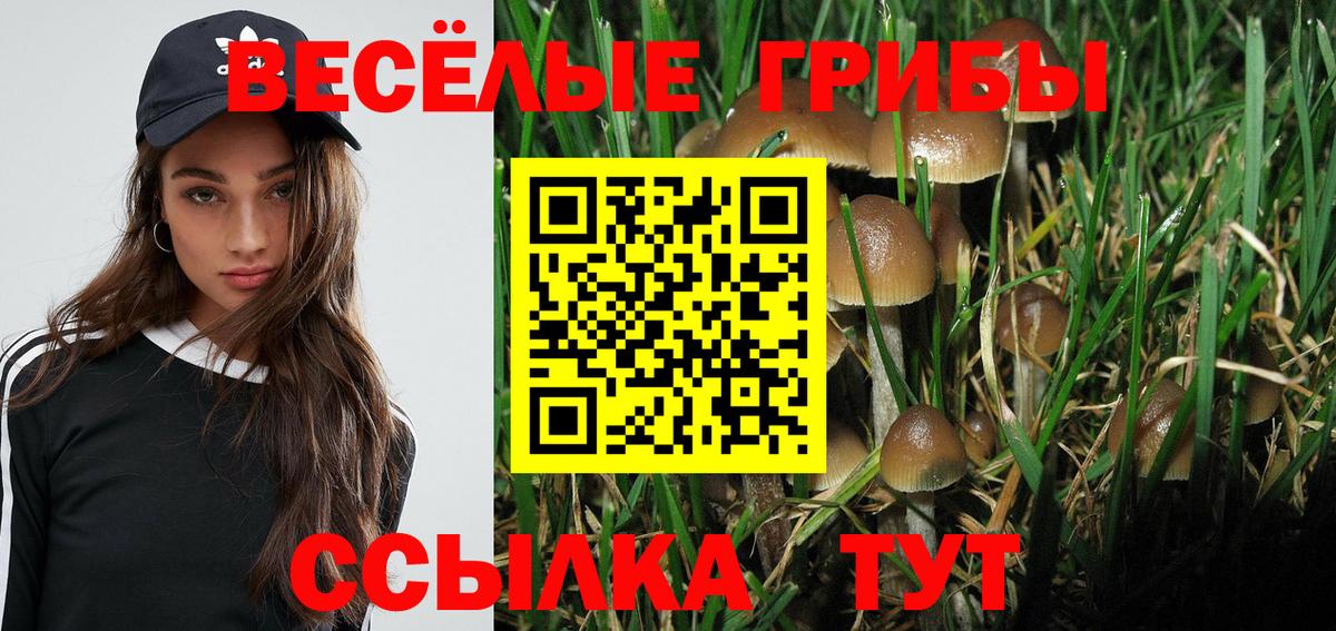 Королёв  Галлюциногенные грибы прущие грибы  Вход с VPN 